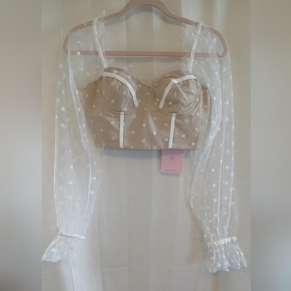 Hello Molly Tan and White Lace Top